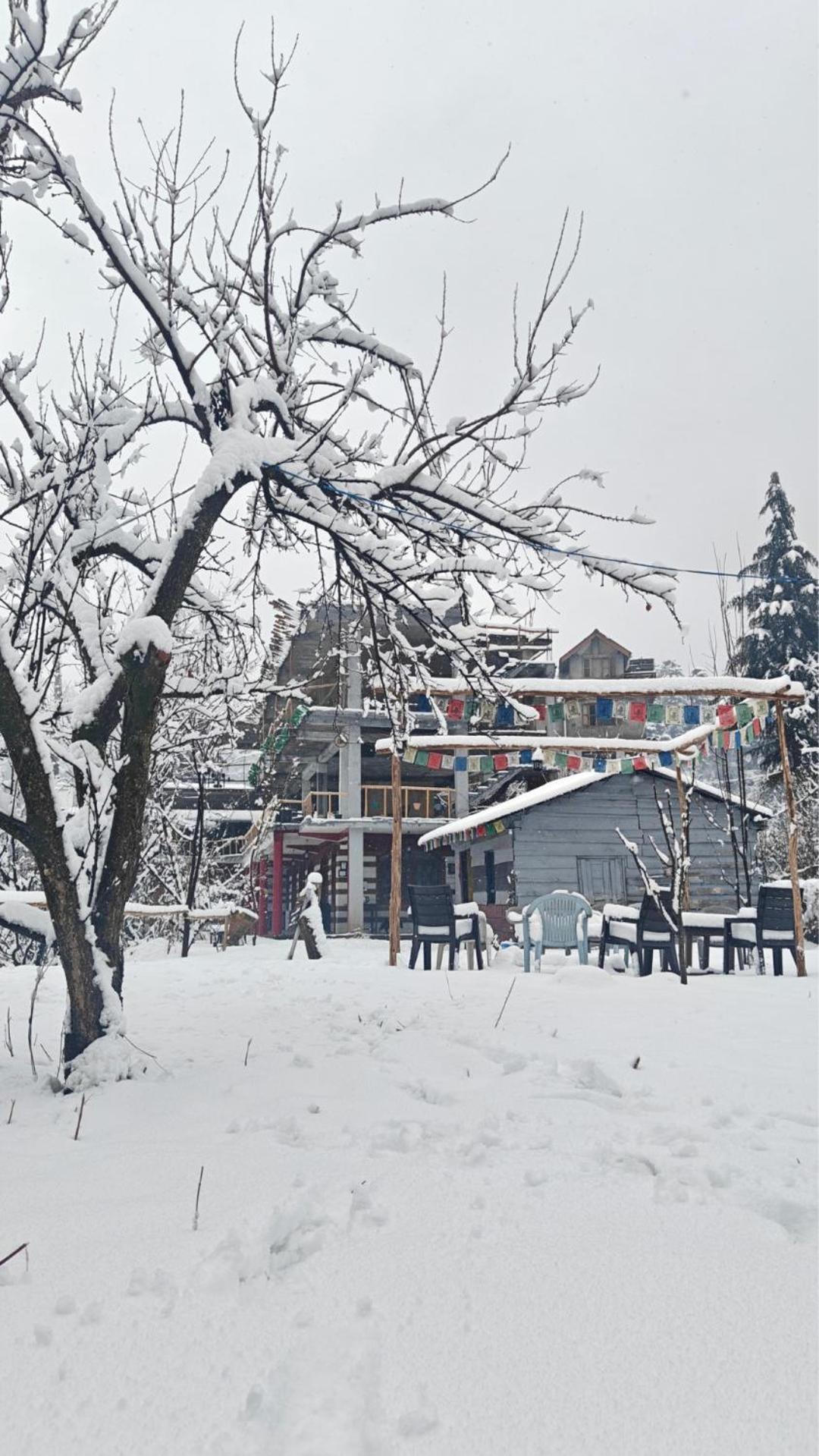 بيت شباب Basecamp Manali المظهر الخارجي الصورة